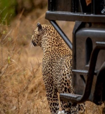 Samburu Game Reserve