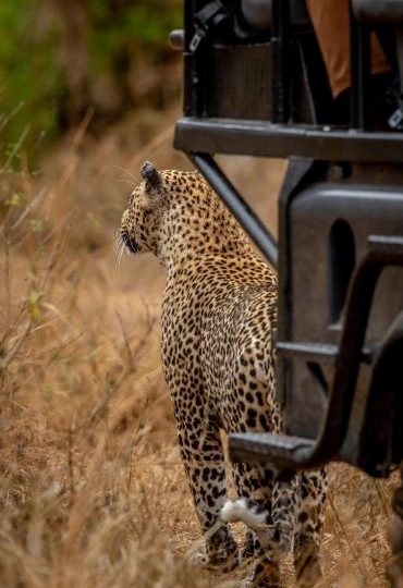 Samburu Game Reserve